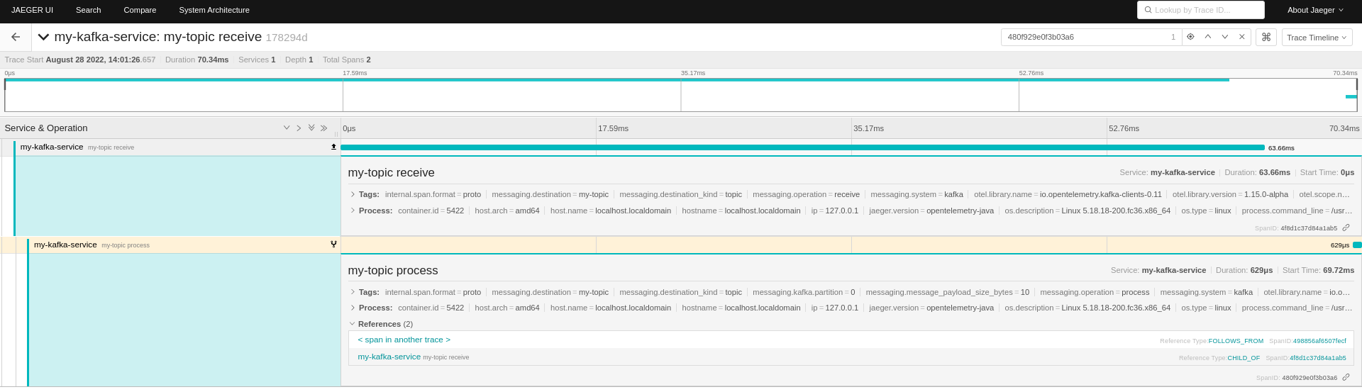 receive and process spans with agent